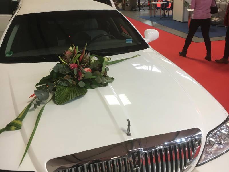 Zum Artikel: Hochzeitspaare und Verlobte aufgepasst