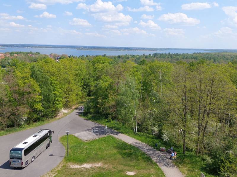 Zum Artikel: Sommererwachen: mit Stammgästen zur Goitzsche