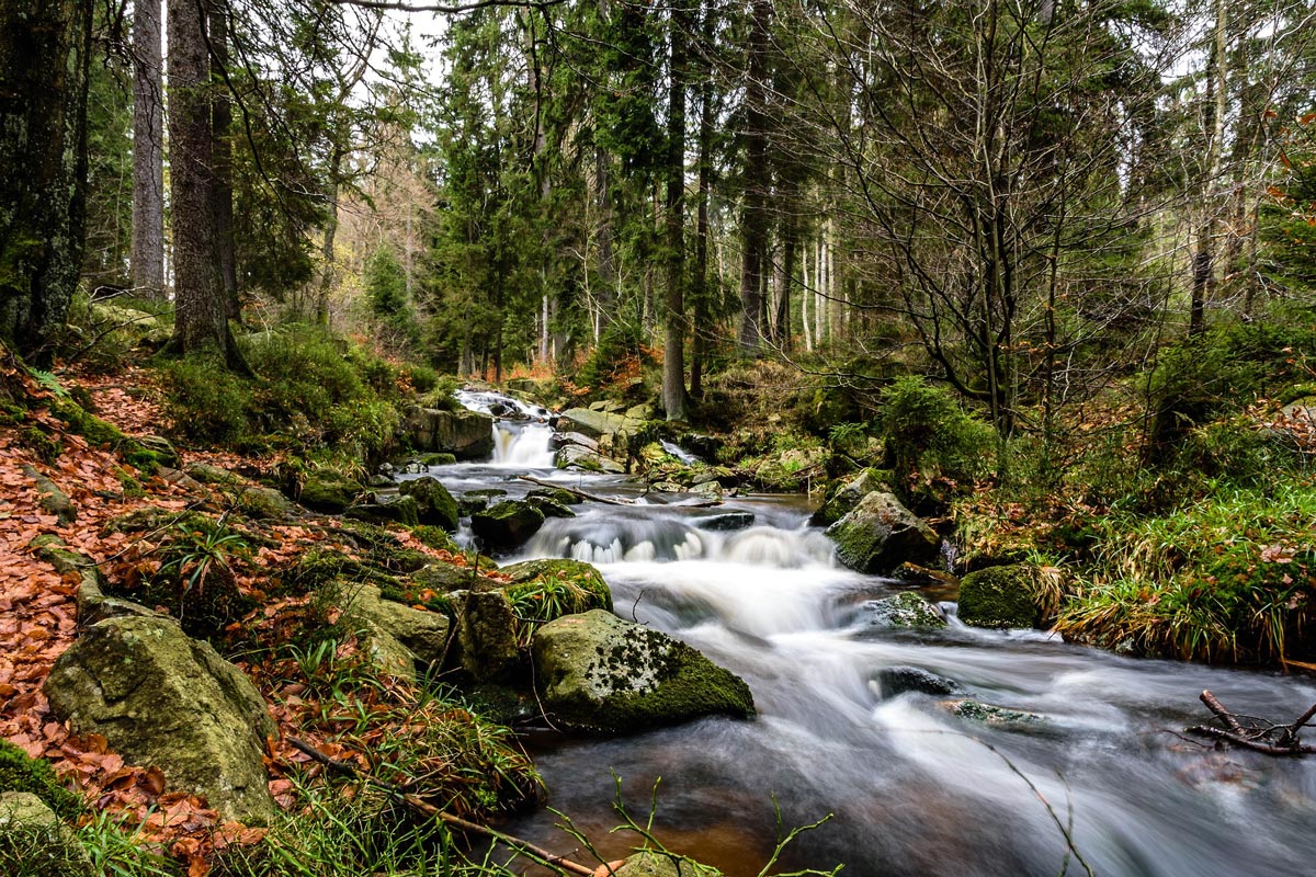 Wasserfall im Harz